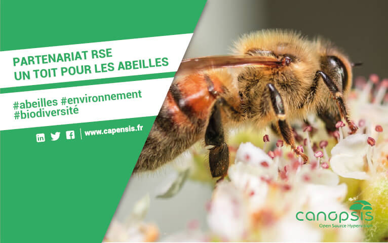 Article un Toit pour les abeilles - Miniature